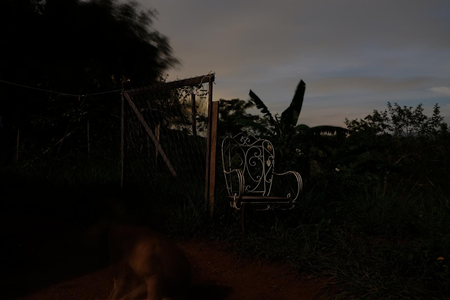 Galeria